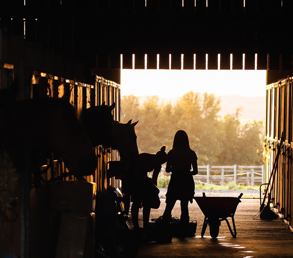 Stallarbeit im Gegenlicht